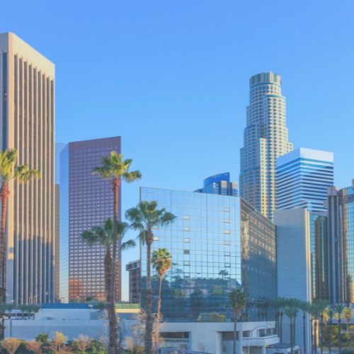 Franchise Opportunities in Los Angeles, CA | FranchiseCoach