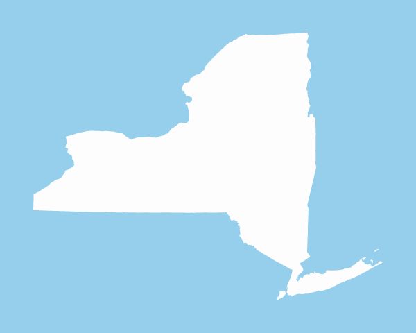 New York Franchise Opportunities (Map) | FranchiseCoach